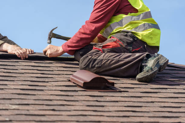 Best Roof Waterproofing Services  in Columbia Heights, MN