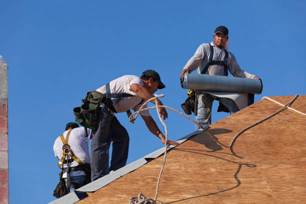 Best Best Roofing Contractors  in Columbia Heights, MN