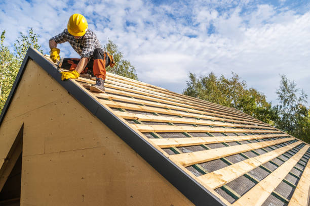 Best Storm Damage Roof Repair  in Columbia Heights, MN