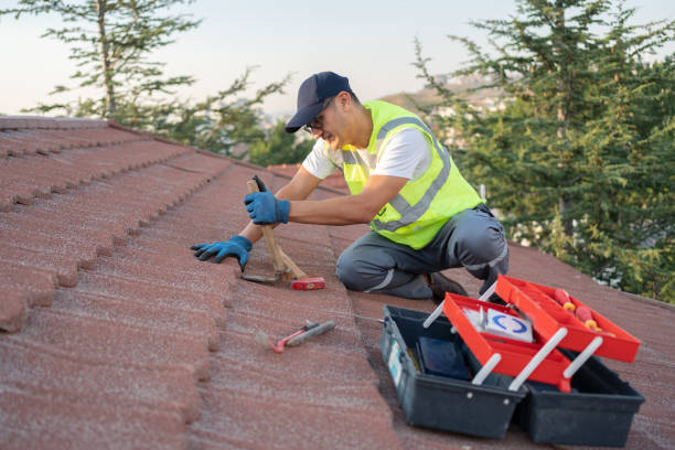 Best Metal Roofing Contractor  in Columbia Heights, MN