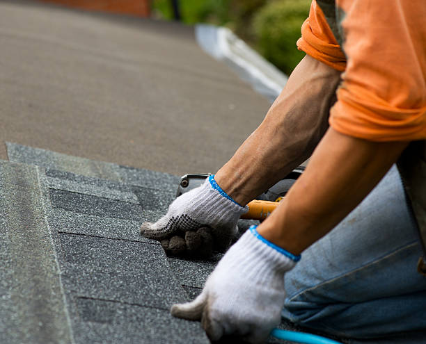 Best Roof Leak Repair  in Columbia Heights, MN